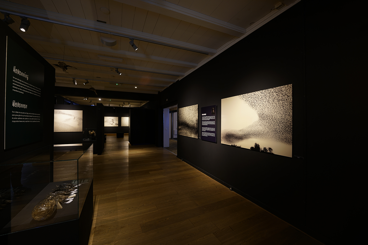 Natuurmuseum Fryslan